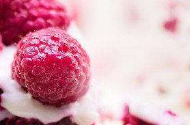 Visit our Ice Cream Shop in Lousville, KY for samples.